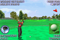 Play Tiger Woods PGA Tour 2004 Online - Play All Game Boy Advance Games ...